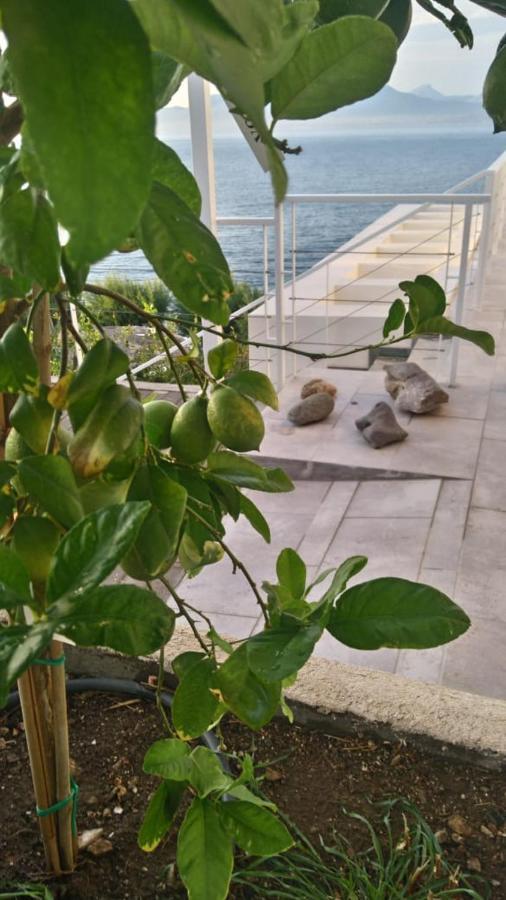 Epipleon Suites Agioi Apostoloi  外观 照片